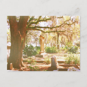 Bonaventure Cemetery Vykort