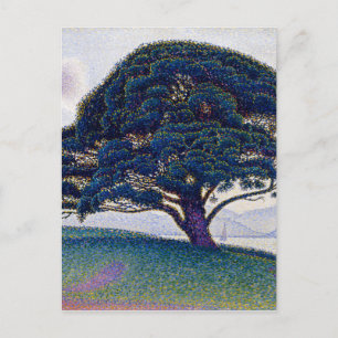 Bonaventure Gräs av Paul Signac Vykort