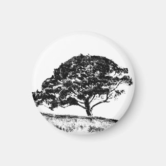 Bonaventure Gräs Magnet