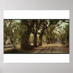 Bonaventure kyrkogård, Savannah, Georgia circa Poster
