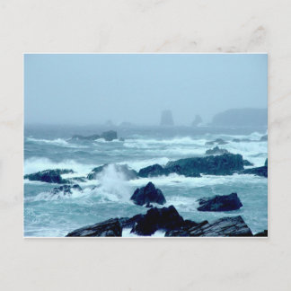 Bonavista Storm Vykort