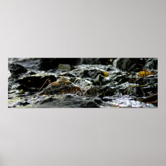 Bond Falls - övre Peninsulan Poster