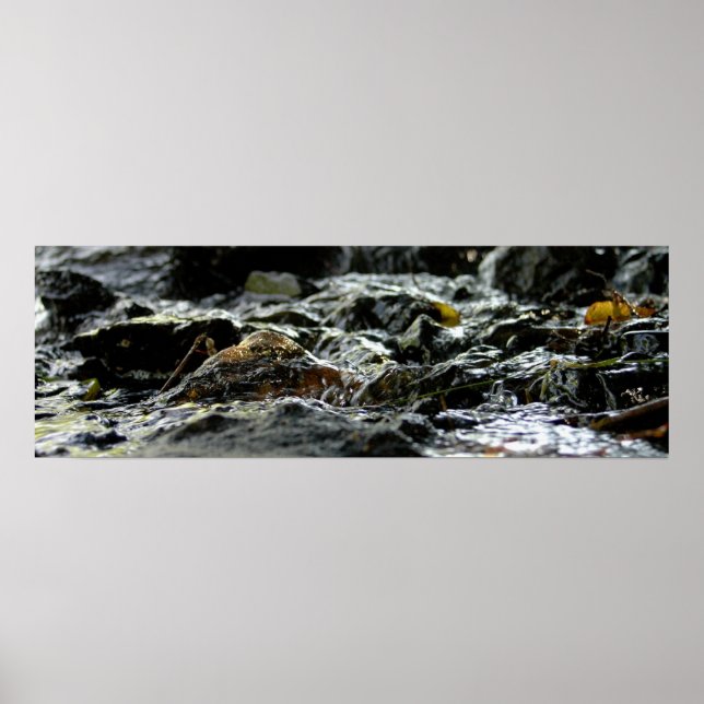 Bond Falls - övre Peninsulan Poster (Framsidan)