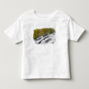 Bond Falls på Middle Fork av Ontonagon T Shirt