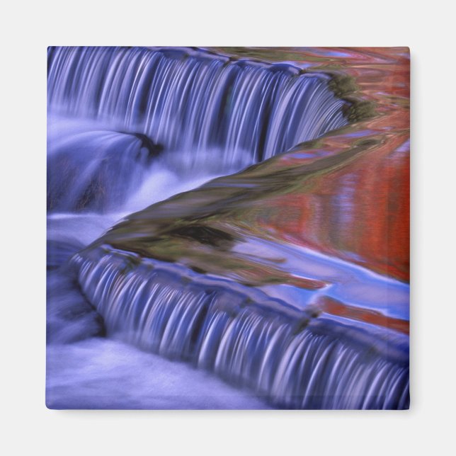 Bond Falls; Reflekterande höstfärgade blad; Magnet (Framsidan)