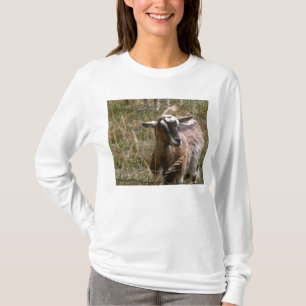 Bonde get t shirt