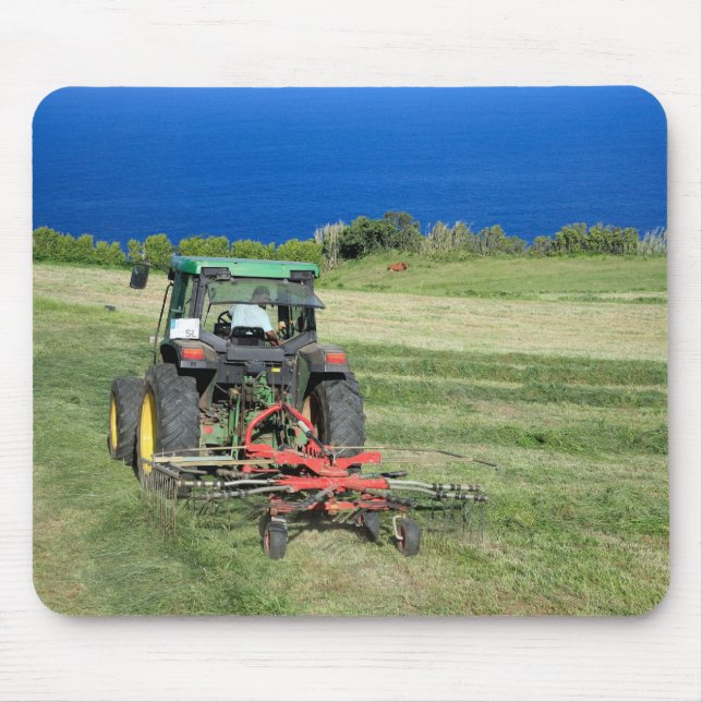 Bonde Musmatta (Framsidan)