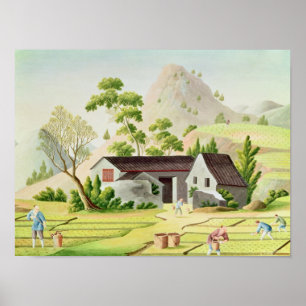 Bönder i irländarefälten poster