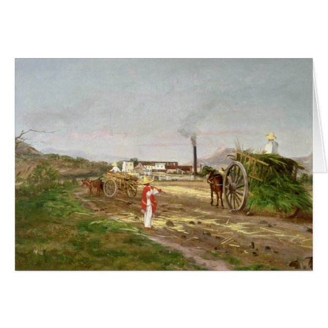 Bönder som samlar sockerkäppen hälsningskort (Framsidan Horizontal)