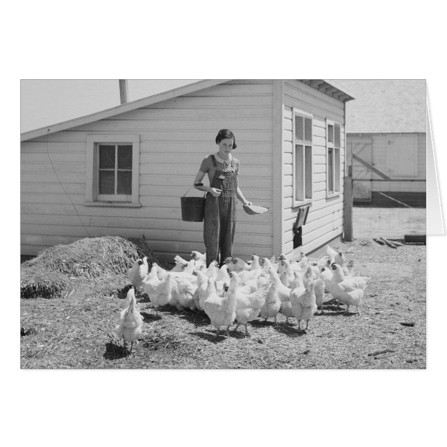 Bondflicka som matar kycklingar, 1936 hälsningskort (Framsidan Horizontal)