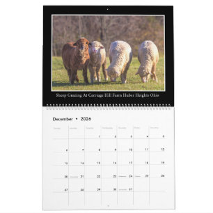 Bondgård & Lada Månadskalender Av Thomas Minutolo Kalender
