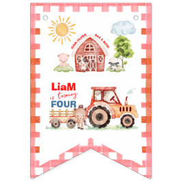 Bondgårdssnurre Födelsedagsfirande För Alla Åldrar Vimplar