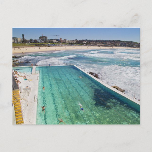 Bondi Icebergs vid Bondi Beach Vykort (Framsida)