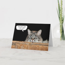 Bondkatt i höslungfödelsedag kort