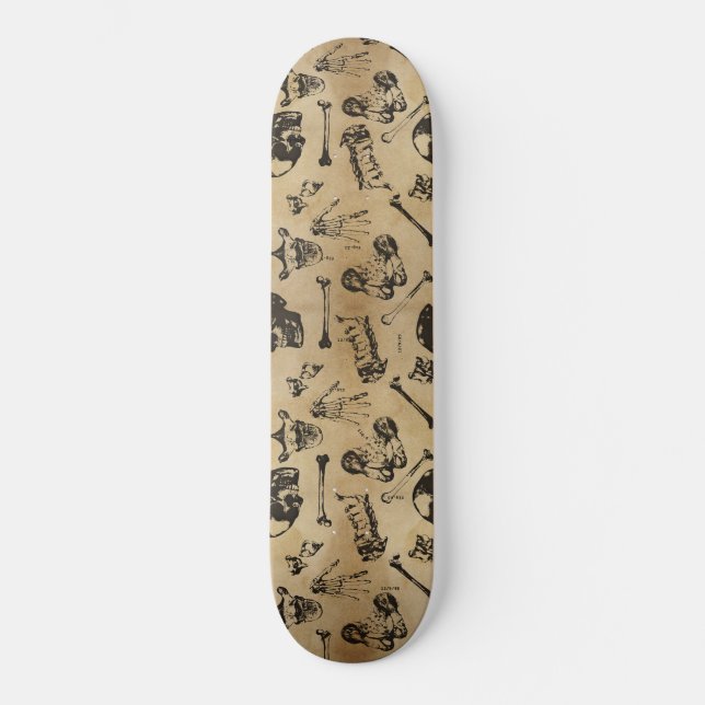 Bone Anatomy Archeology Skateboard (Framsida)