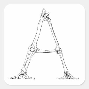 Bone Brev - A Fyrkantigt Klistermärke