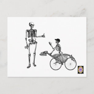 Bone pappa vykort