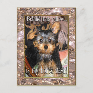 Bone Stash Yorkie Vykort