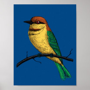 Böneater Poster