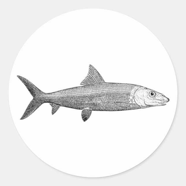 Bonefish Logotyp Runt Klistermärke (Framsida)