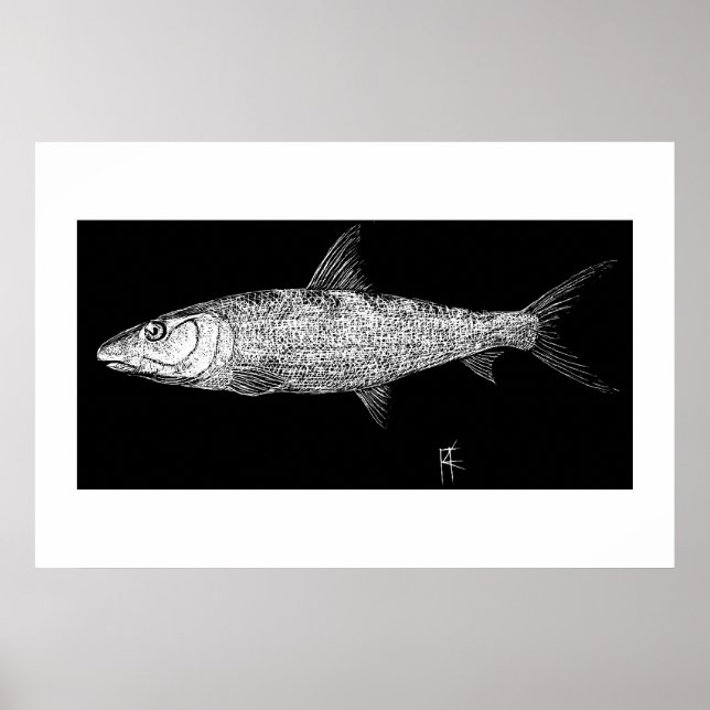 Bonefish Scratch art Poster (Framsidan)