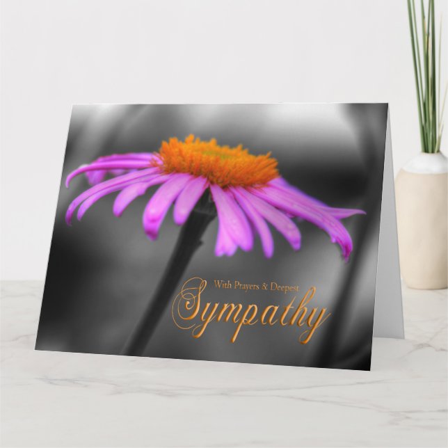 Böner och sympati purpurfärgade orange Coneflower Kort (Framsida)