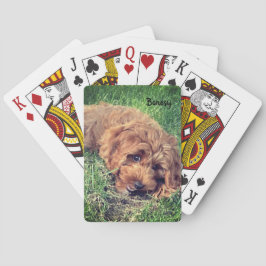 Bonesy-uppspelningskort Casinokort