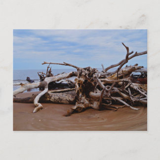 Boneyard Beach Vykort