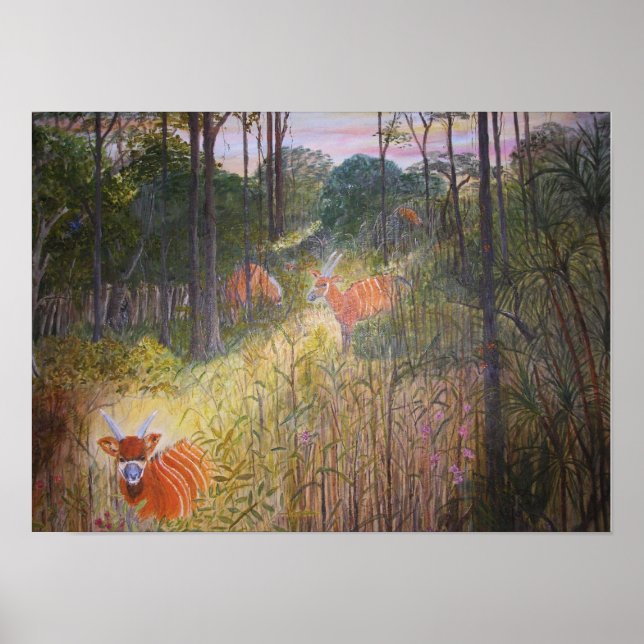 Bongo Antelopes-målning Poster (Framsidan)
