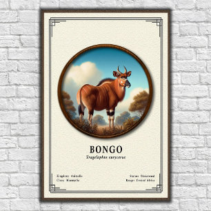 Bongo Zoologi Serie Poster
