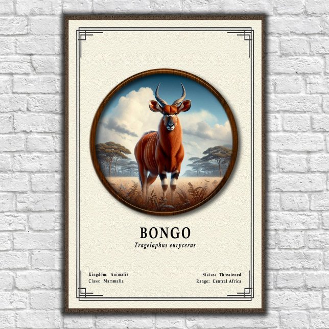 Bongo Zoologi Serie Poster (Skapare uppladdad)