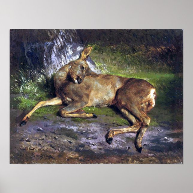 Bonheur - A Roe Deer In The Forest Poster (Framsidan)