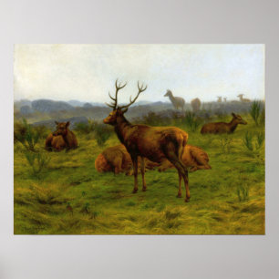 Bonheur - Förpackningens monark Poster