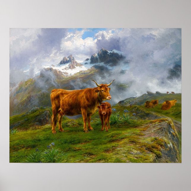 Bonheur - Highland Cattle Poster (Framsidan)