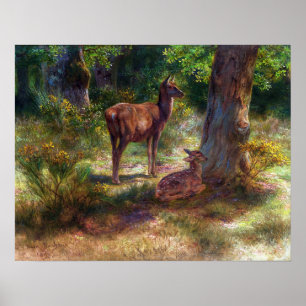 Bonheur - Hjortar och Beaster i ett trä Poster