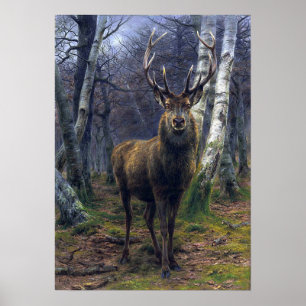 Bonheur - Kung i skogen Poster