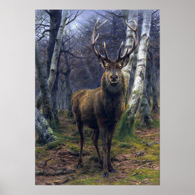 Bonheur - Kung i skogen Poster (Framsidan)