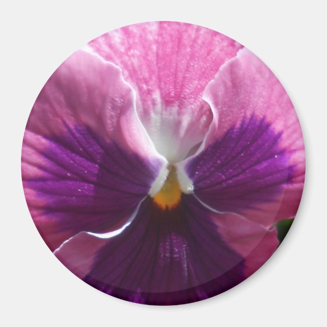 Bonheur Magnet (Framsidan)