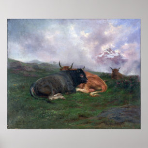 Bonheur - Nötkreatur i vila på en Hillside i Alper Poster