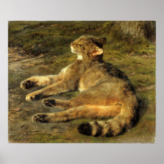 Bonheur - Vild katt Poster