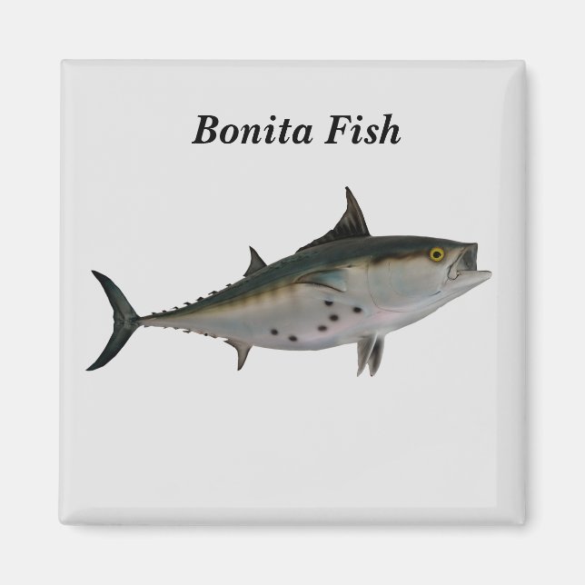 Bonita Fish Magnet (Framsidan)