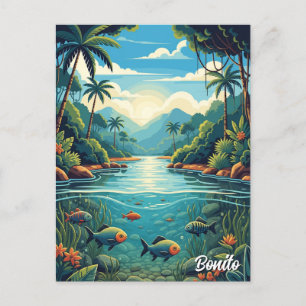 Bonito Brasilien Travel Vykort