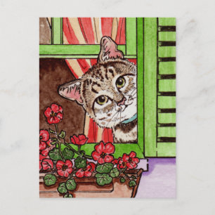 Bonjour cat vykort