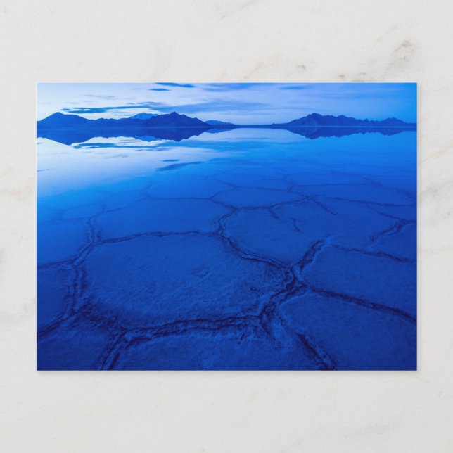Bonneville Salt Flats in Winter - Utah Vykort (Framsida)