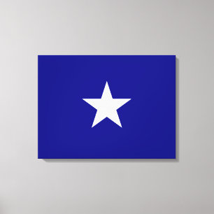 Bonnie Blue Flag Canvastryck