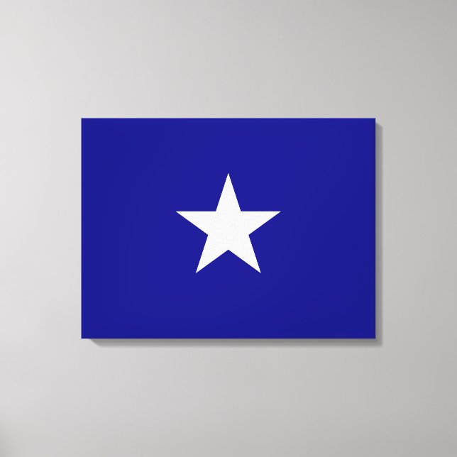 Bonnie Blue Flag Canvastryck (Framsida)