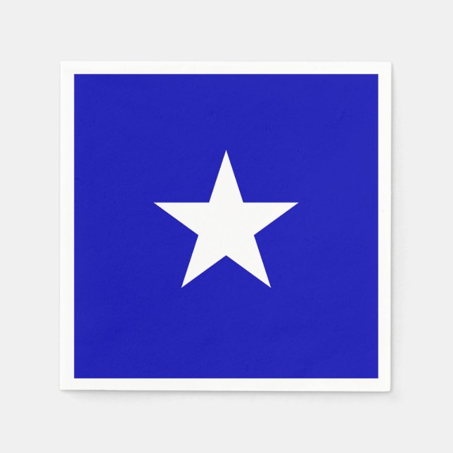 Bonnie Blue Flag Pappersservett (Framsidan)