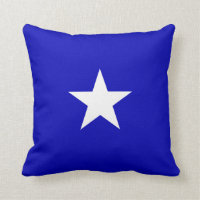 Bonnie Blue Flagga