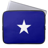 Bonnie Blue Flagga