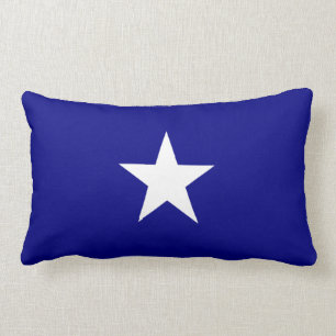 Bonnie Blue Flagga Lumbarkudde